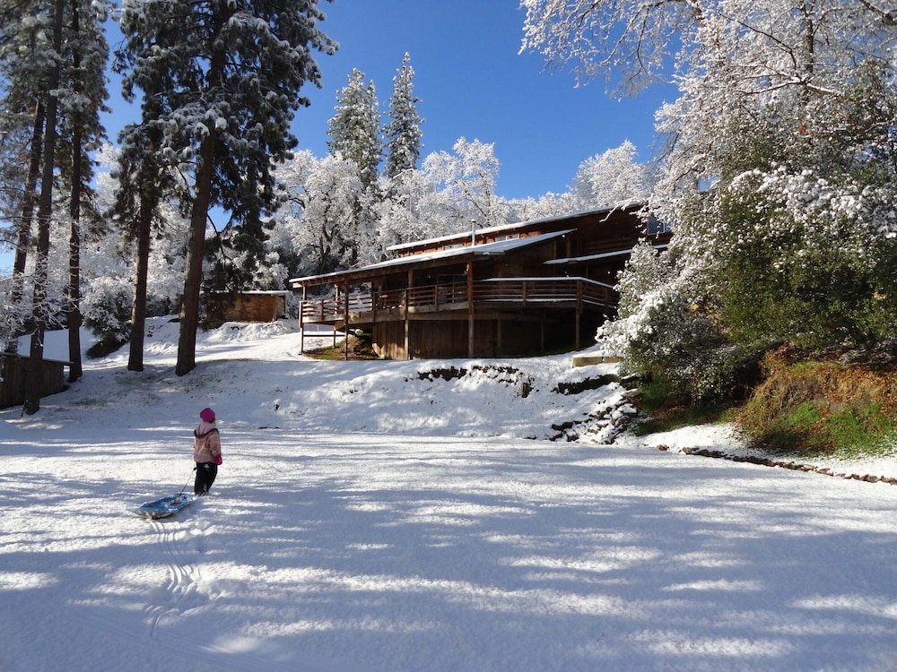 Evergreen Haus
