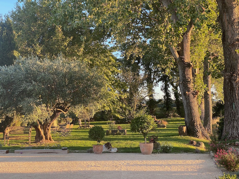 Photo 23
