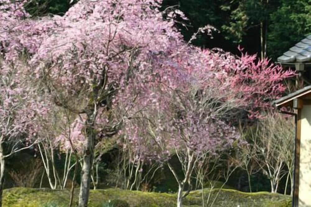Auberge Funoki
