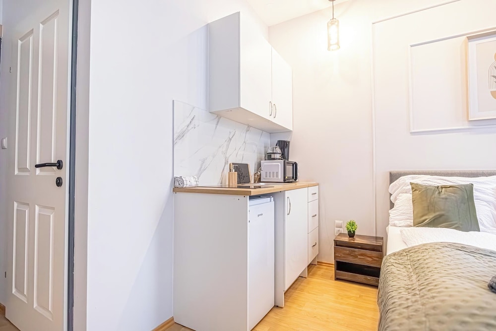 9BR Apts in the Heart of Vienna