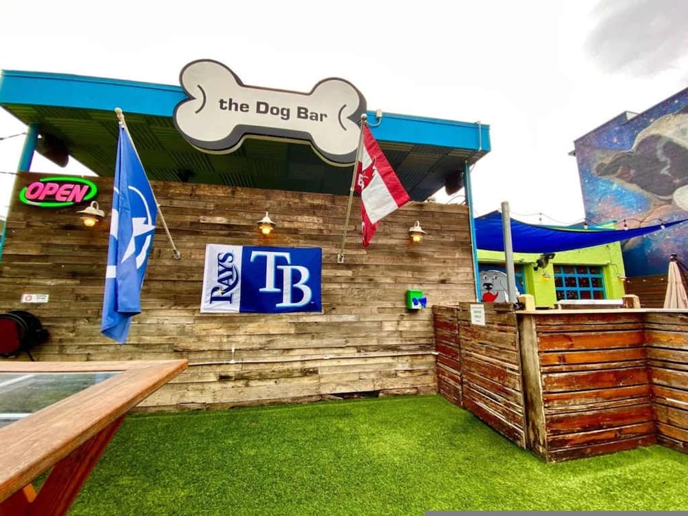 Downtown Central Parking Pet Friendly Walk