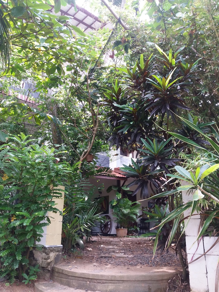 Peacock Wings Guest House