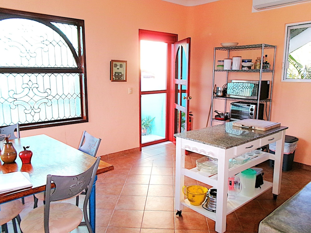 Casa Gatos