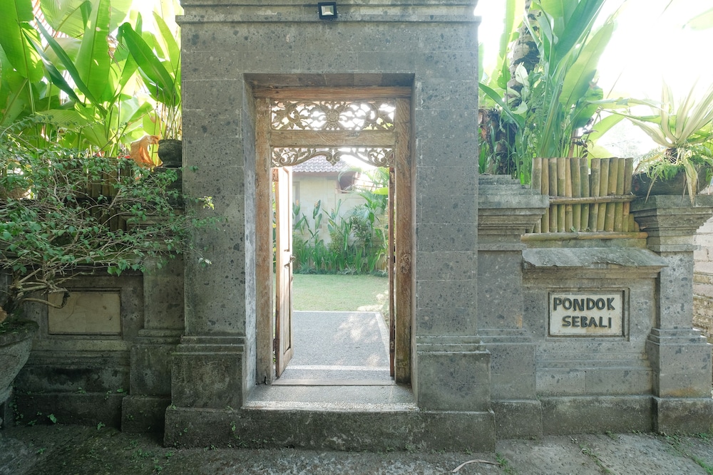 Photo 22