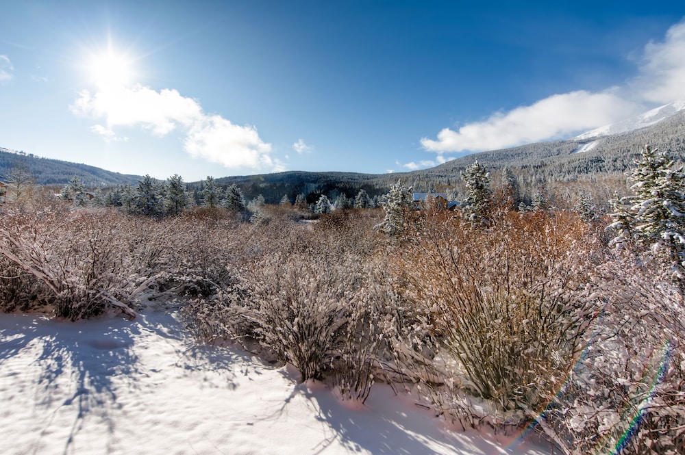 Mountainside Condominiums by CRMR