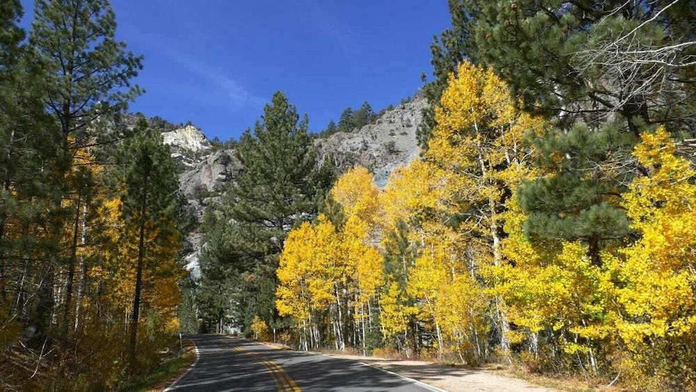 Cozy Condo With Fireplace - Tamarack #3 1 Bedroom Condo by Bear Valley Vacation Rentals