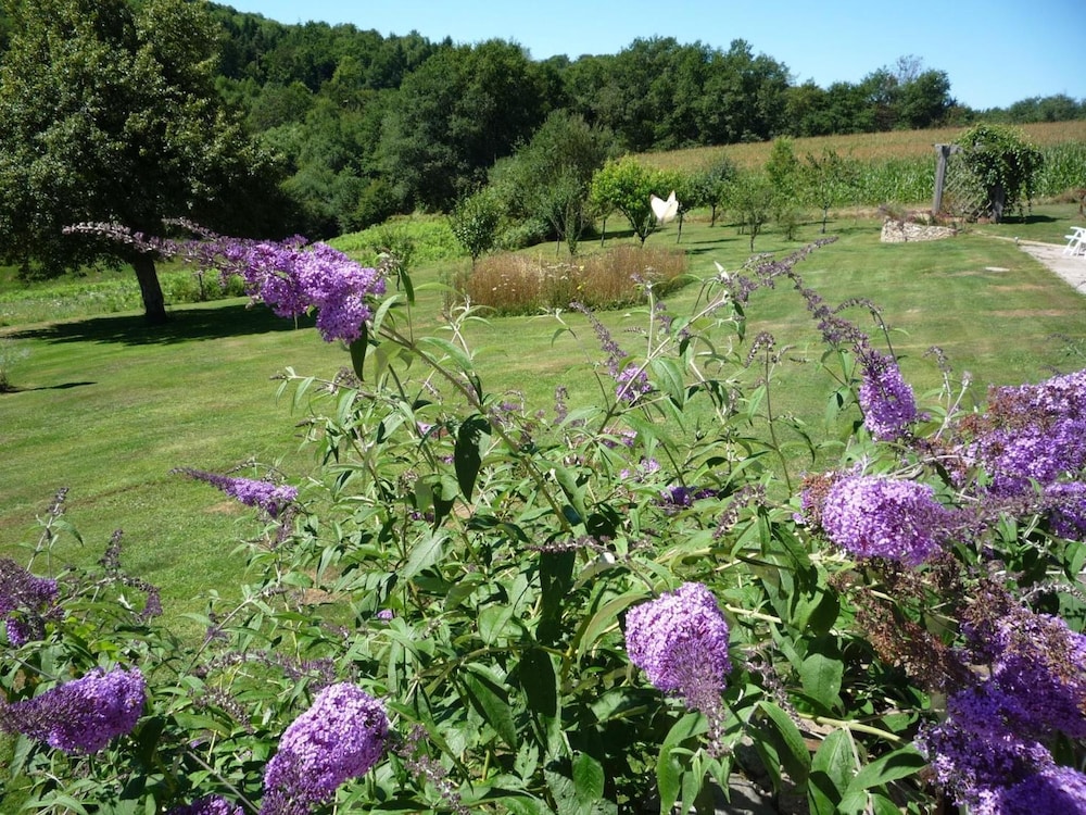 Photo 13