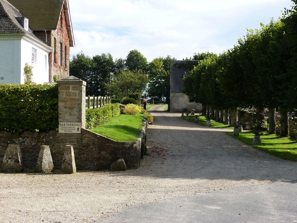 Photo 11