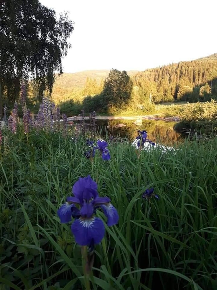 Impeccable 4-bed House in Drangedal