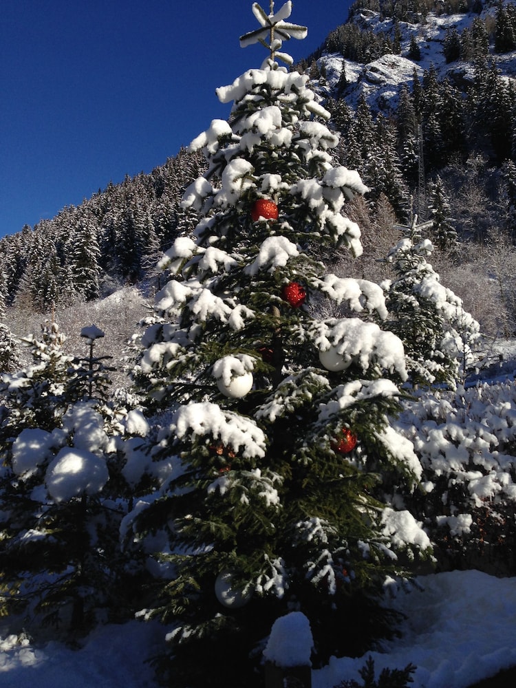 Photo 48