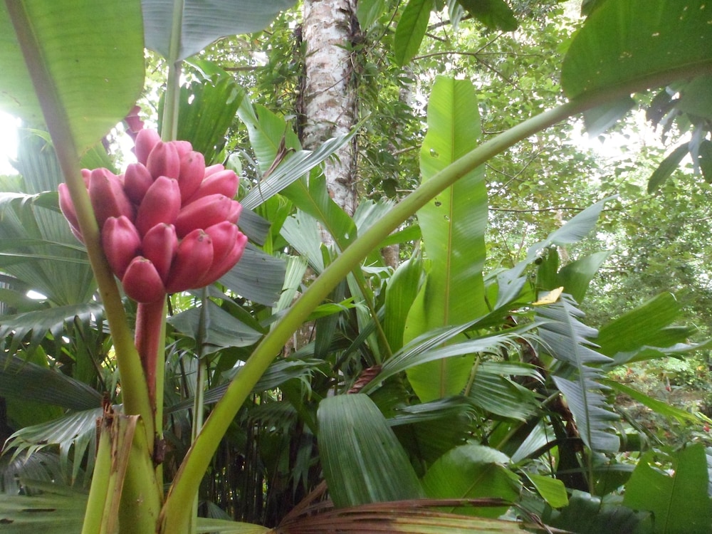 Hotel Valle Azul