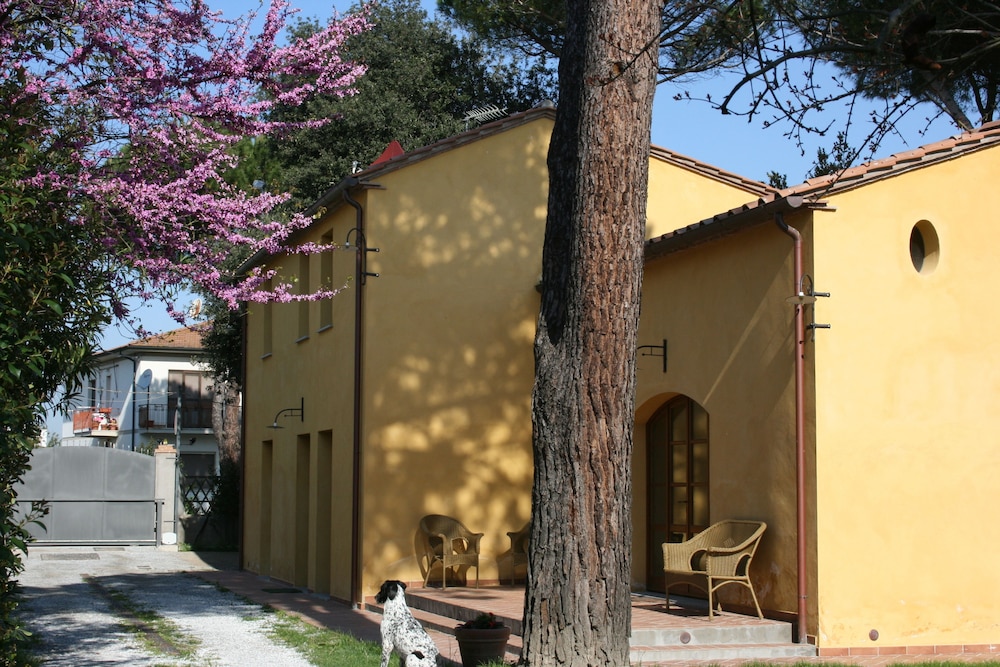 Photo 49