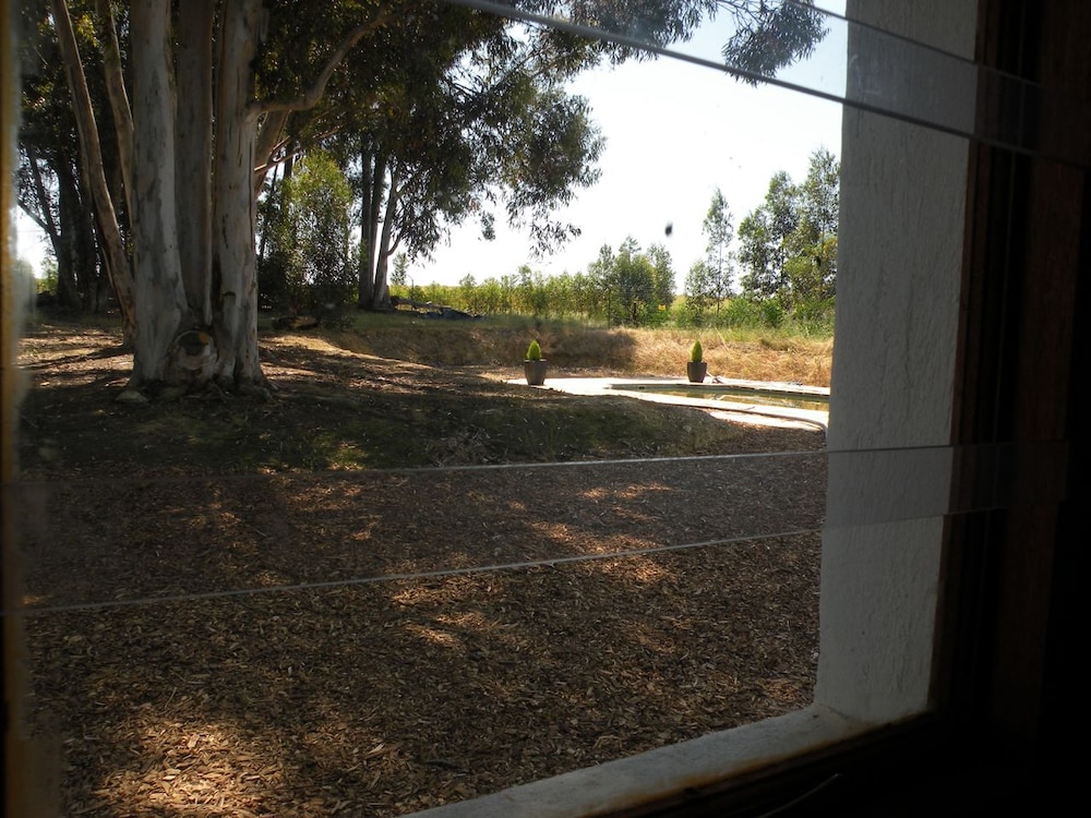 Photo 38