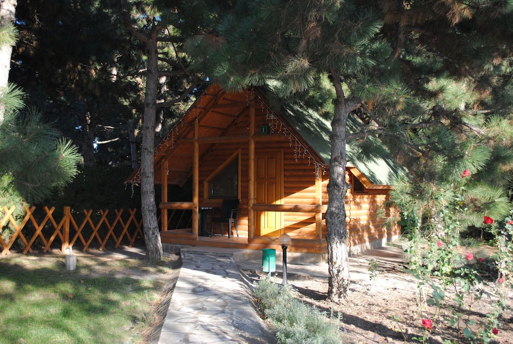 Elki-Palki
