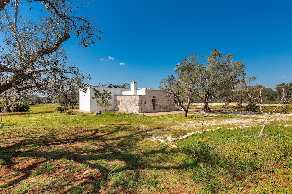 2769 Uliveto Valeria - Trullo Fico by Perle di Puglia view 2