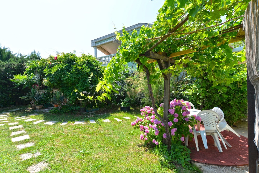 Photo 11