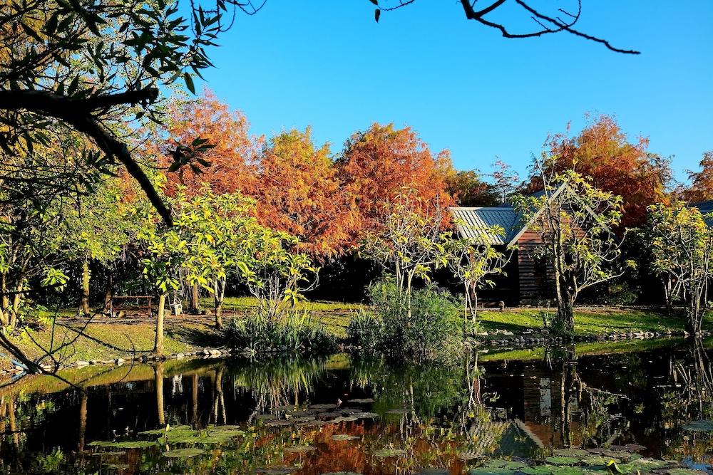 Green Forest Villa