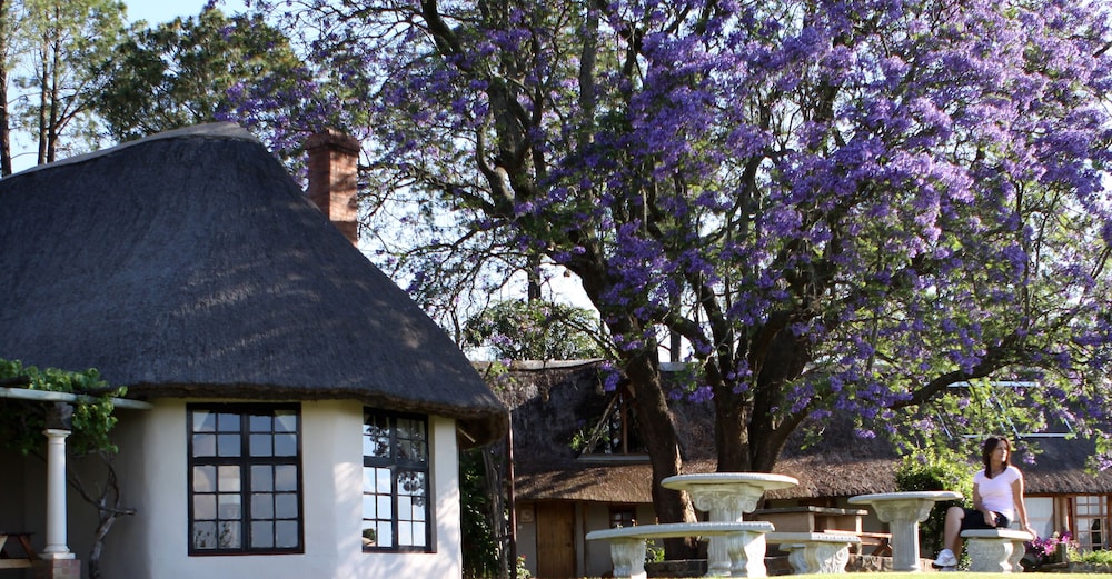 Antbear Drakensberg Lodge