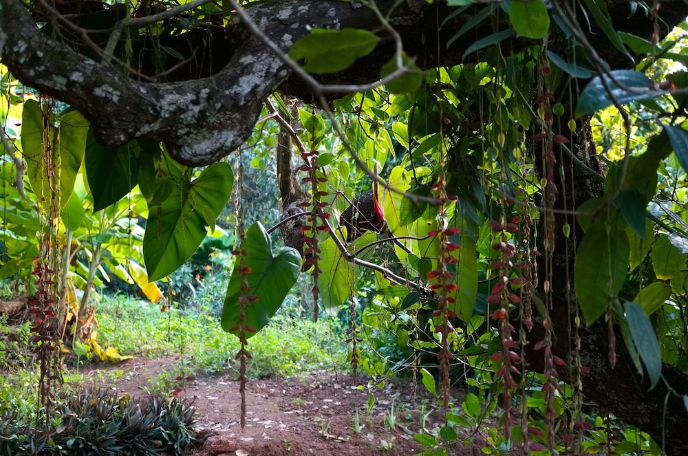 Khaama Kethna Wellbeing Retreat Centre