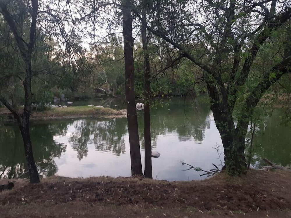 Photo 42
