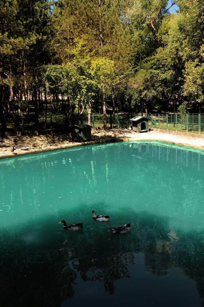 Bolu Koru Hotels Spa & Convention