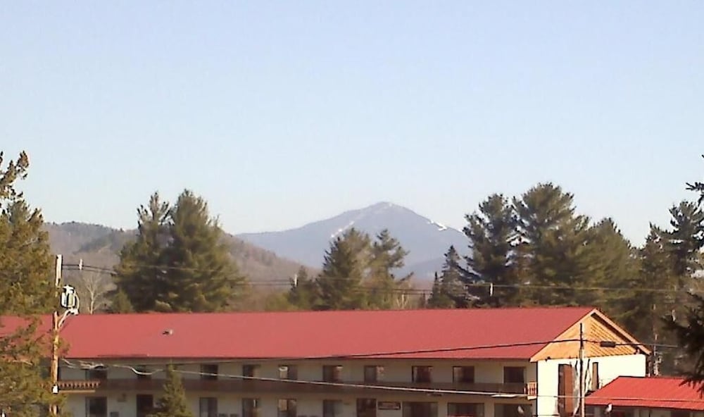 Carriage House Motor Inn view 5