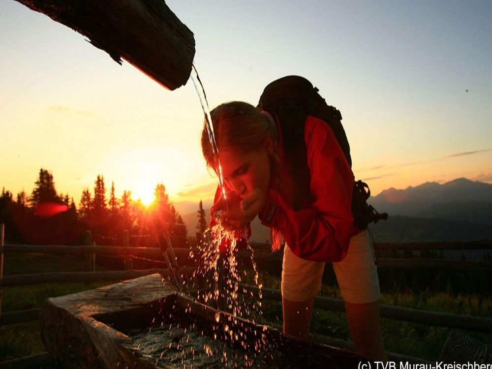 Lavish Chalet in Sankt Georgen With Jacuzzi