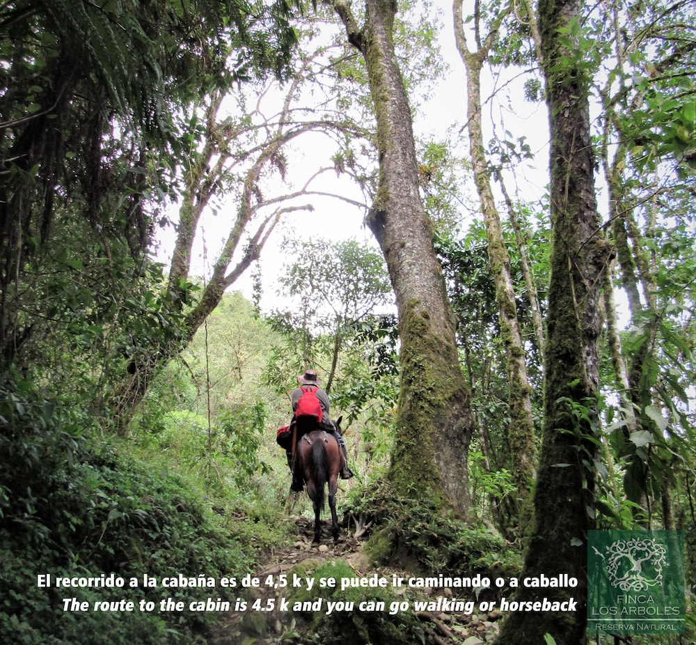 Finca Los Arboles