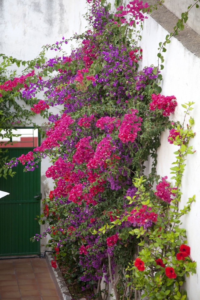 Rustic Med Casa Llorens