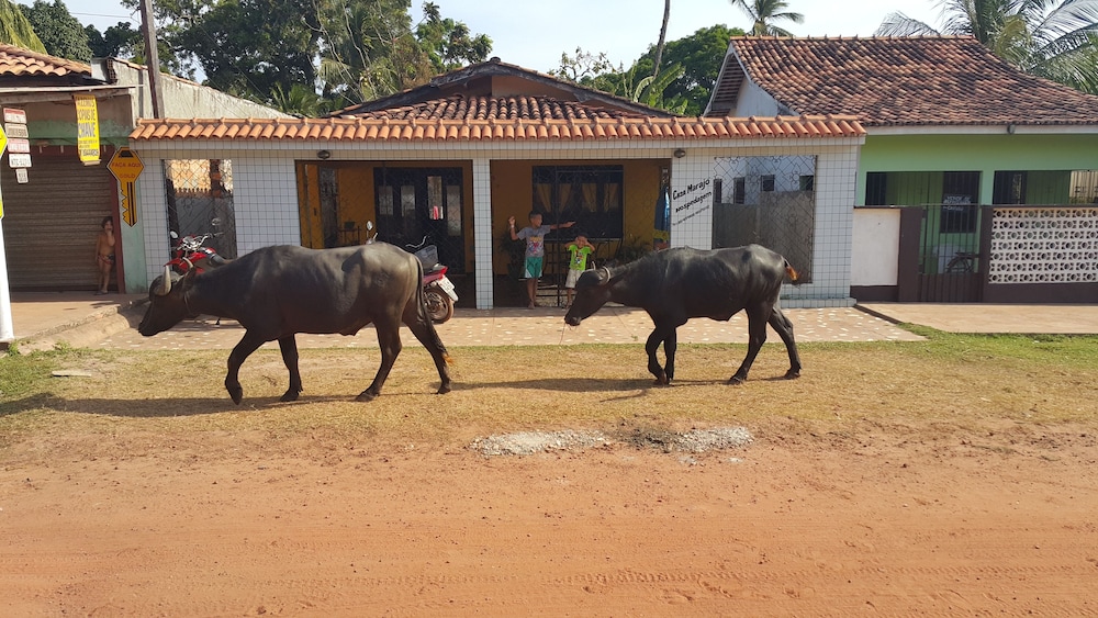 Casa Marajó
