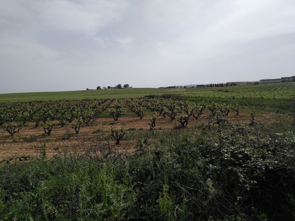 Casa Rural Cal Polinari - Property Image 4