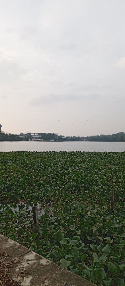 Amani Lakeside