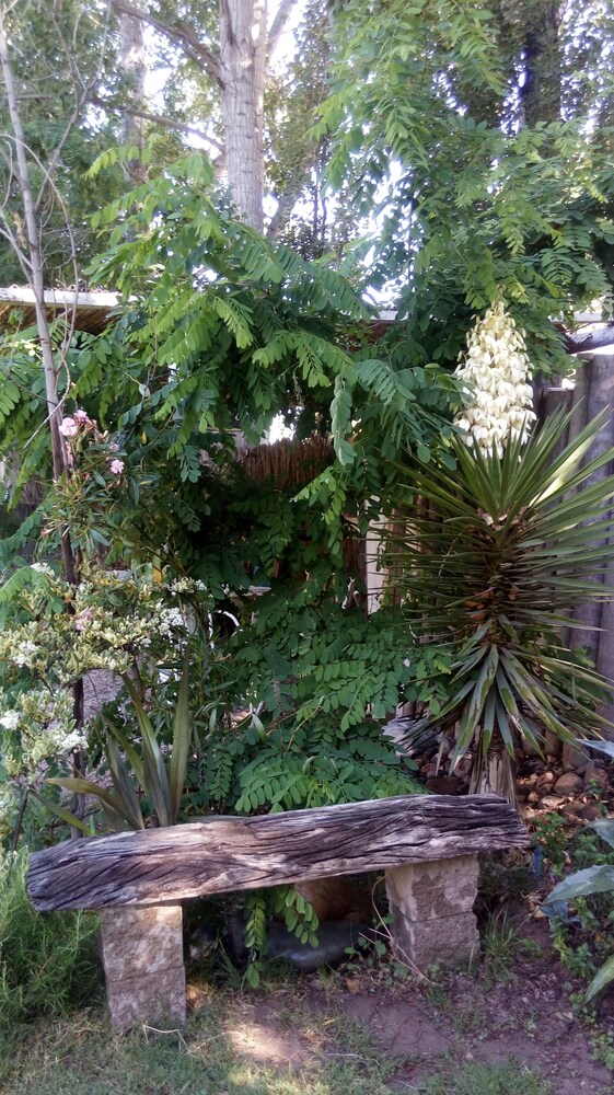 Chacras de Coria
