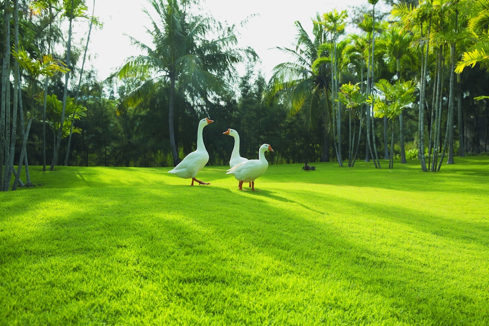 Sanctuary Residential Resort Community