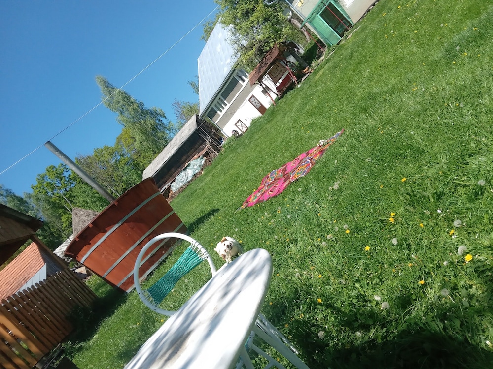 Photo 46