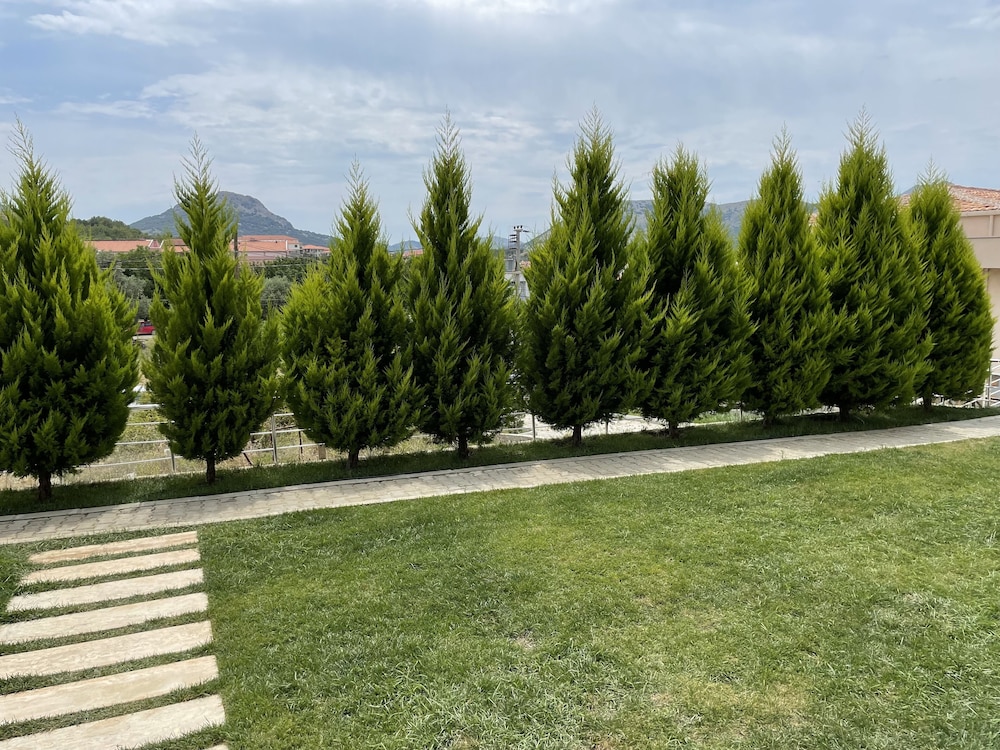 Photo 48