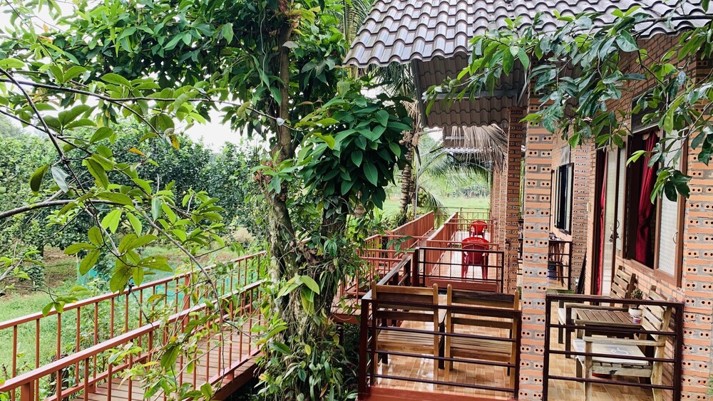 Gibbon Singing Homestay