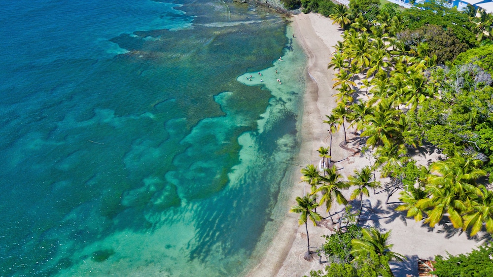 Playabachata - Property Image 107