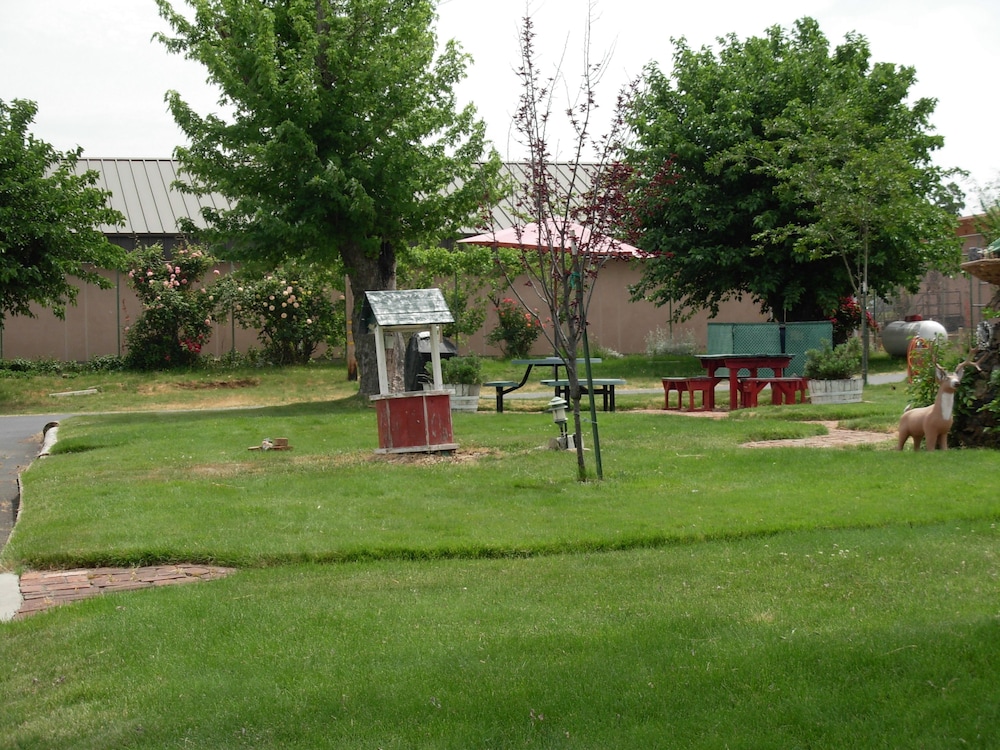 Photo 38
