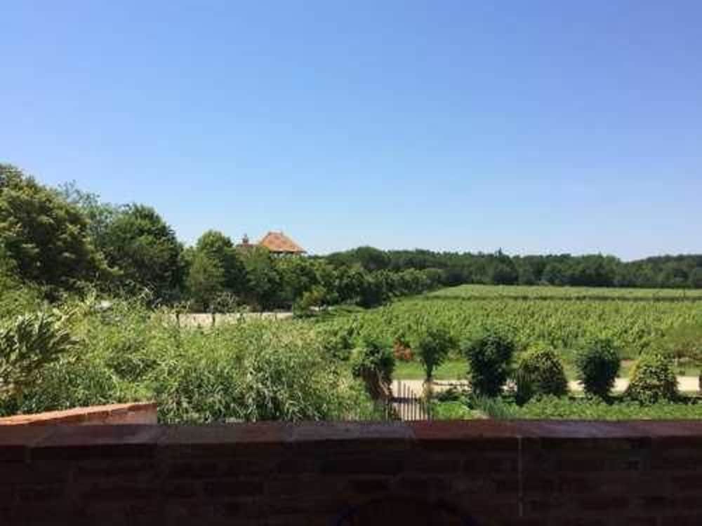 Château Saint Louis