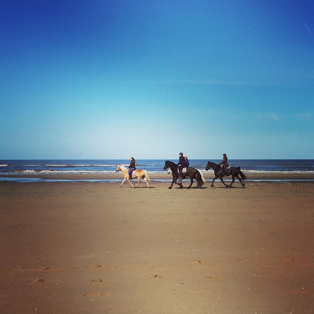 Apartment in Noordwijk Near Beach view 3