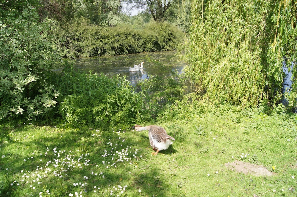 Le Paddock du Val de Lys