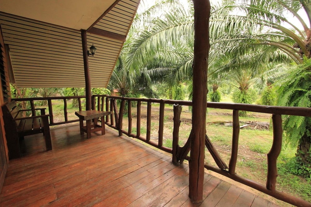 Khaosok Palmview