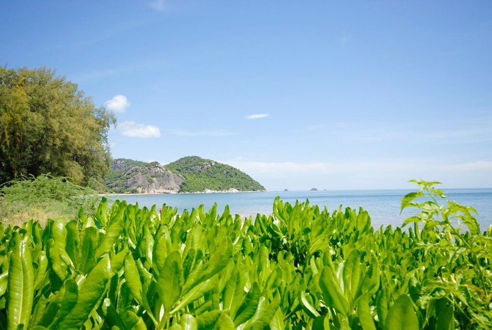 4 Bed Beachfront Condo SP43