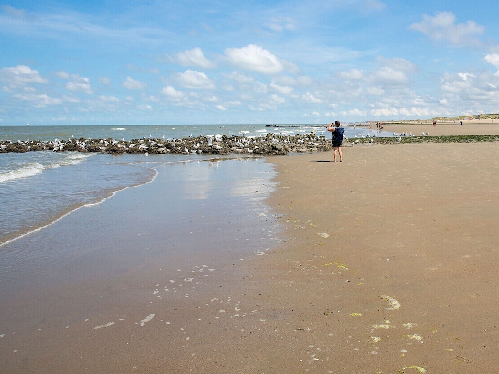 Holiday Home Near North Sea Beach, Breeduyn