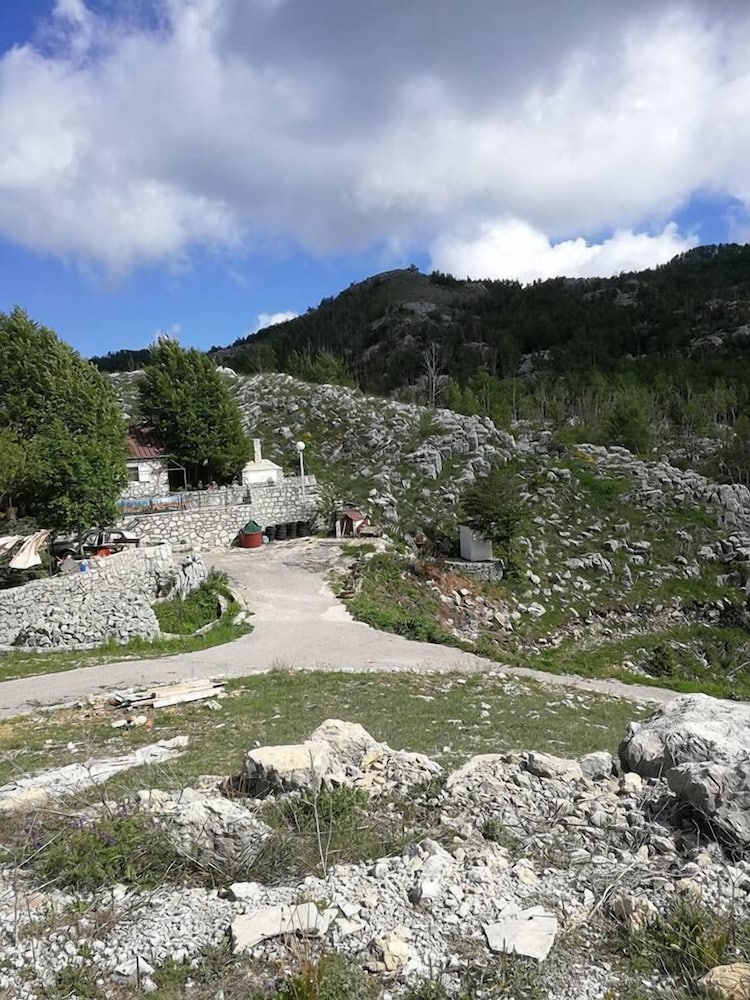 Photo 41