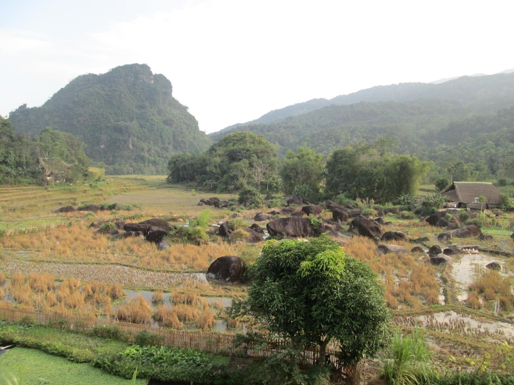 Dong Que Homestay-Tours-Motorbike, Car rental, Hiking