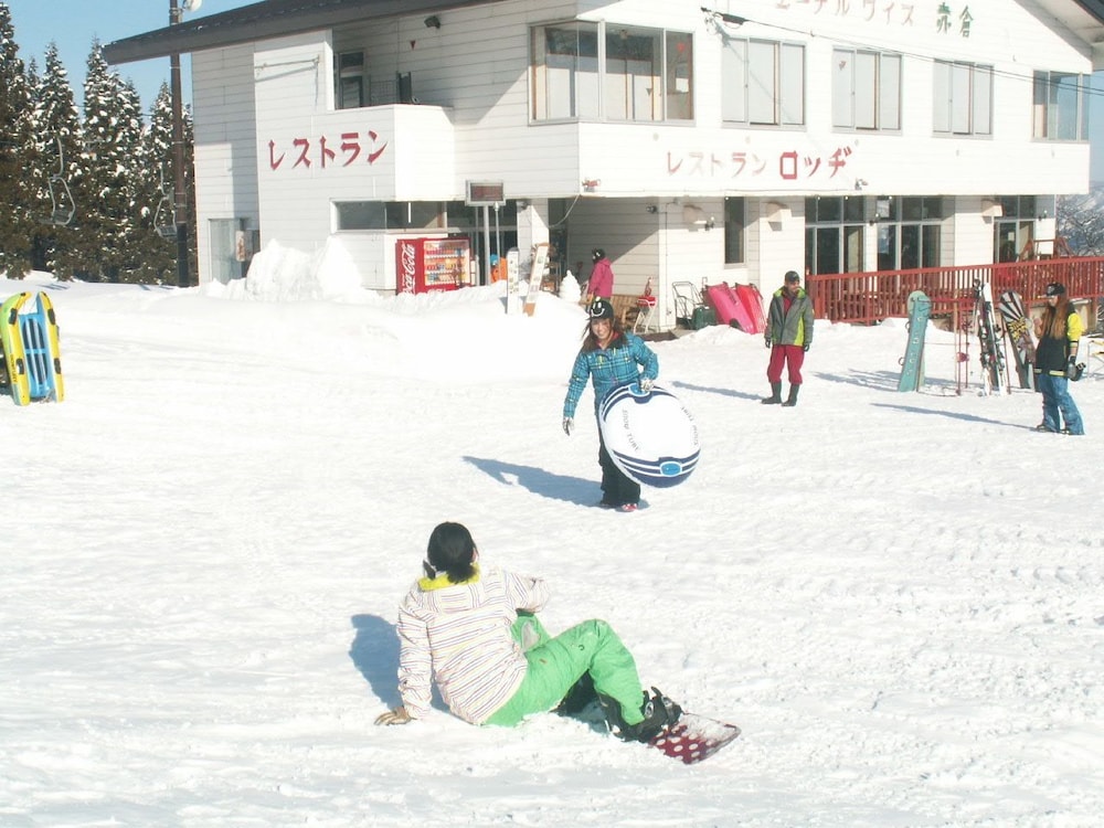 Edelweiss Akakura
