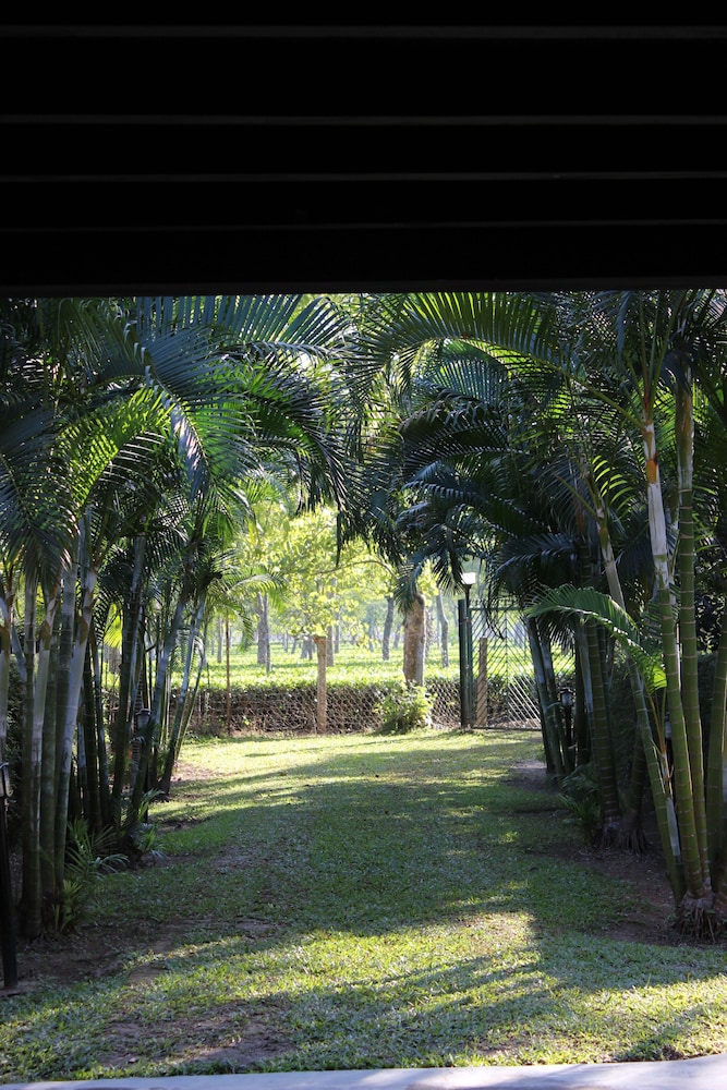 Mancotta Heritage Chang Bungalow