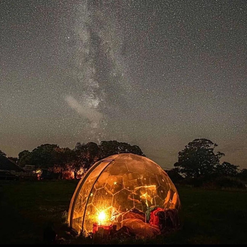 Cozy Dog Friendly Hot Tent With Log Burner & Logs